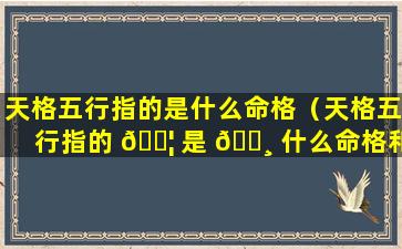 天格五行指的是什么命格（天格五行指的 🐦 是 🌸 什么命格和命运）